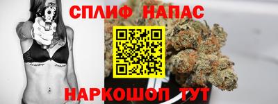 гидропоника Будённовск