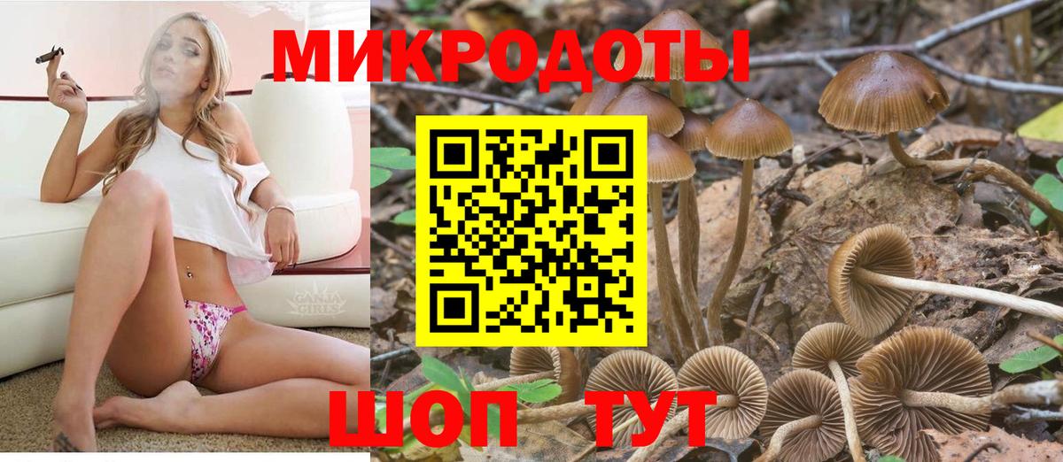 Псилоцибиновые грибы ЛСД Кушва