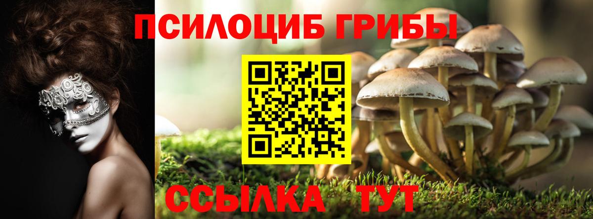 Кушва  Псилоцибиновые грибы прущие грибы  Вход с VPN 